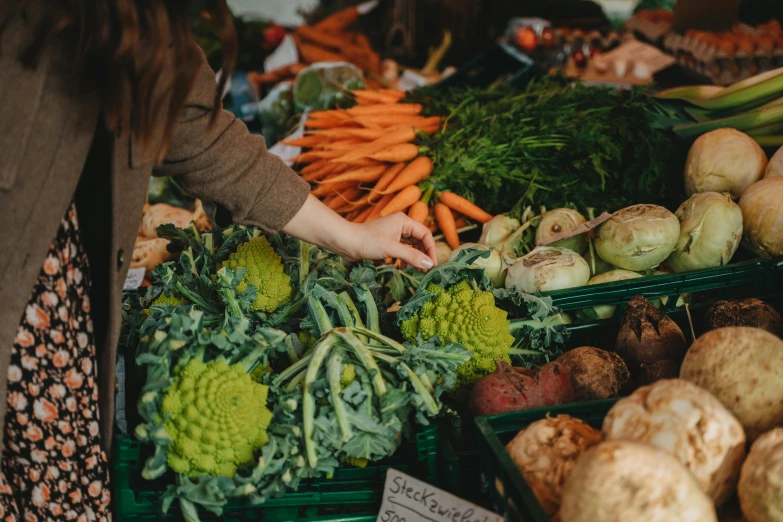 a woman standing in front of a display of vegetables, by Jessie Algie, pexels contest winner, hands on counter, farmer's market setting, background image, sydney hanson