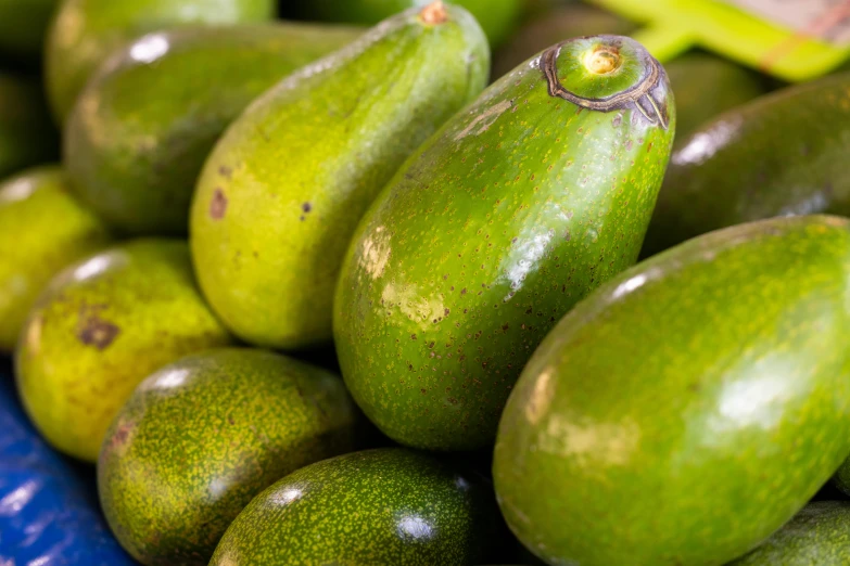 a pile of green avocados sitting on top of each other, by Julia Pishtar, close up of iwakura lain, eggplant, medium angle, thumbnail