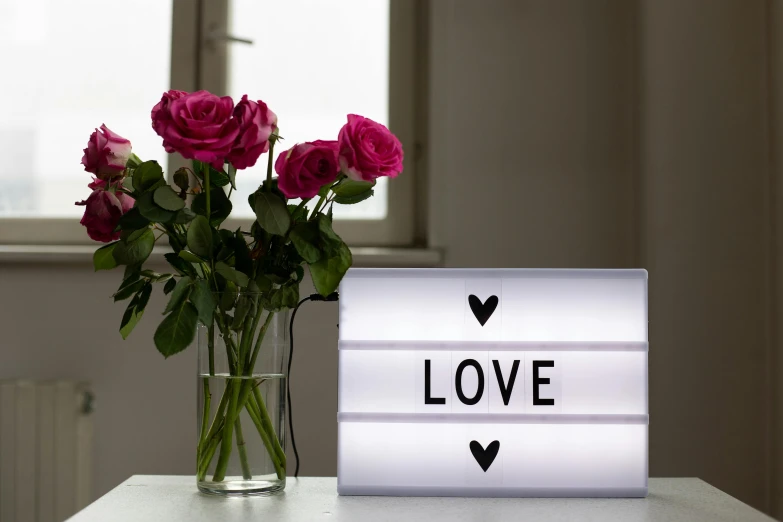 a vase filled with pink roses sitting on top of a table, a picture, light box, sign, love craft, seen from the side