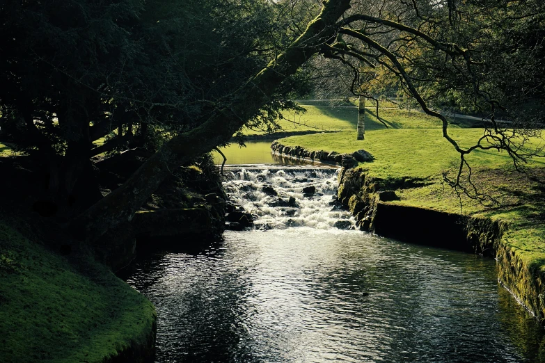 a stream running through a lush green park, an album cover, by Bertram Brooker, pexels contest winner, brockholes, water feature, february), medium format. soft light