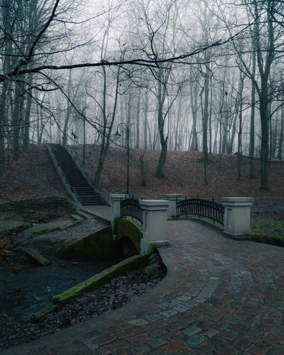 a bridge in the middle of a park on a foggy day, an album cover, inspired by Elsa Bleda, unsplash contest winner, on a dark winter's day, village in the woods, creepy aesthetic, steps