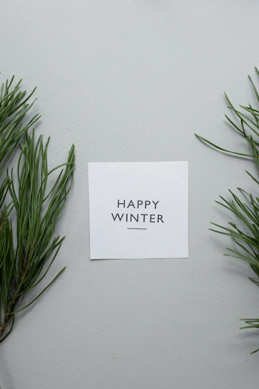 a piece of paper with the words happy winter written on it, minimalistic aesthetics, pine, full product shot, grey