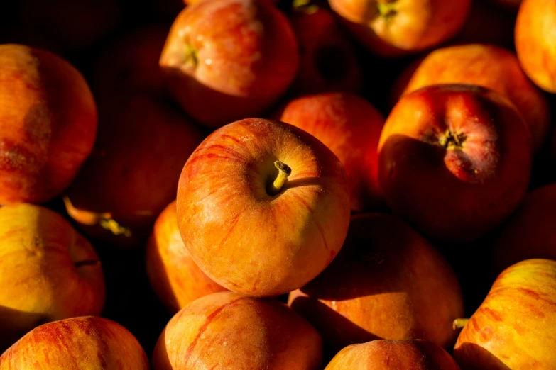 a pile of apples sitting on top of each other, by Tom Bonson, unsplash, red and orange colored, chile, sunlit, thumbnail