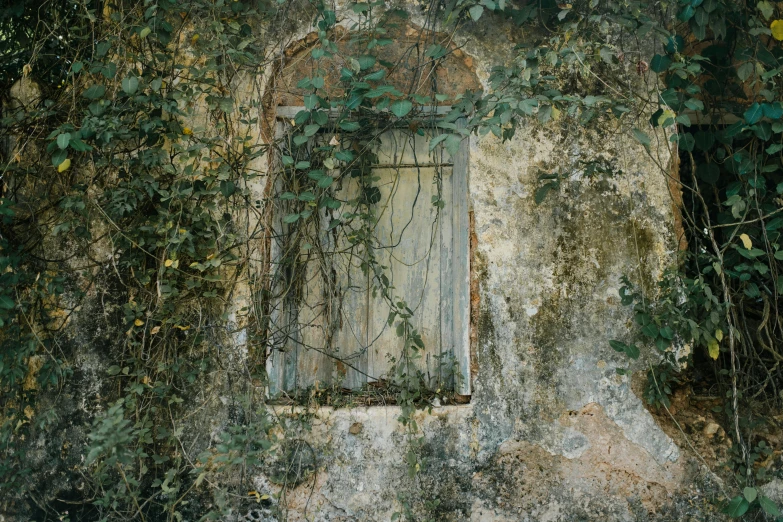 a window that is on the side of a building, a photorealistic painting, by Elsa Bleda, unsplash contest winner, australian tonalism, ancient overgrown ruins, ignant, taken in the early 1990s, kodak portra