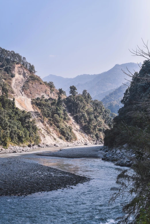 a river running through a lush green forest filled with trees, trending on unsplash, sumatraism, uttarakhand, dry river bed, low sun, destroyed mountains