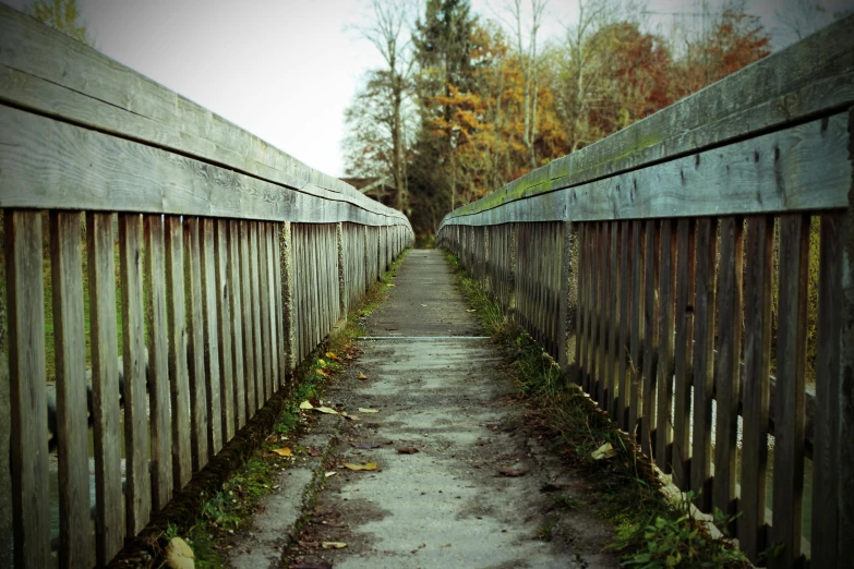 a wooden walkway next to a wooden fence, inspired by Thomas Struth, unsplash, bridges, trenches, spooky photo, an abandoned old
