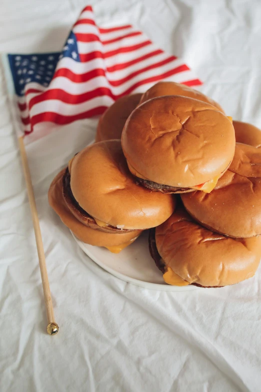 a plate of hamburgers next to an american flag, by Adam Saks, unsplash, kek, made of cheese, soft shade, 6 pack