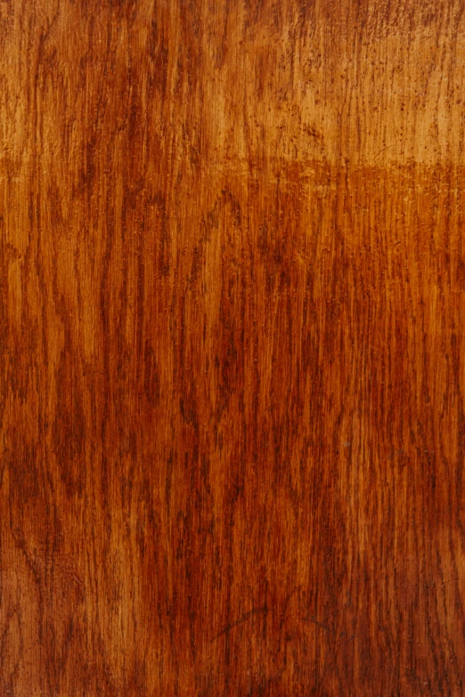 a close up of a wooden surface, sōsaku hanga, dark orange, zoomed out to show entire image, glossy finish, oaks