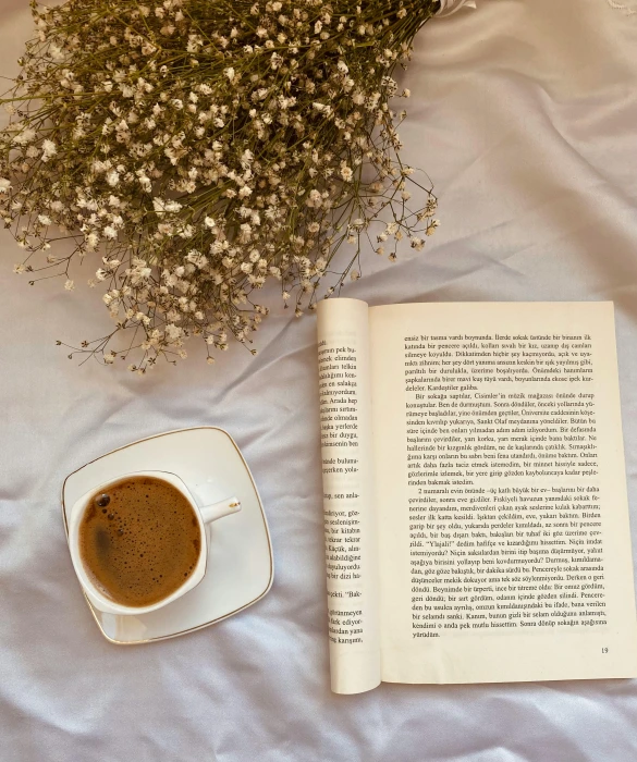 an open book sitting on top of a bed next to a cup of coffee, by Carey Morris, pexels contest winner, romanticism, gypsophila, full face shot, thumbnail, 9