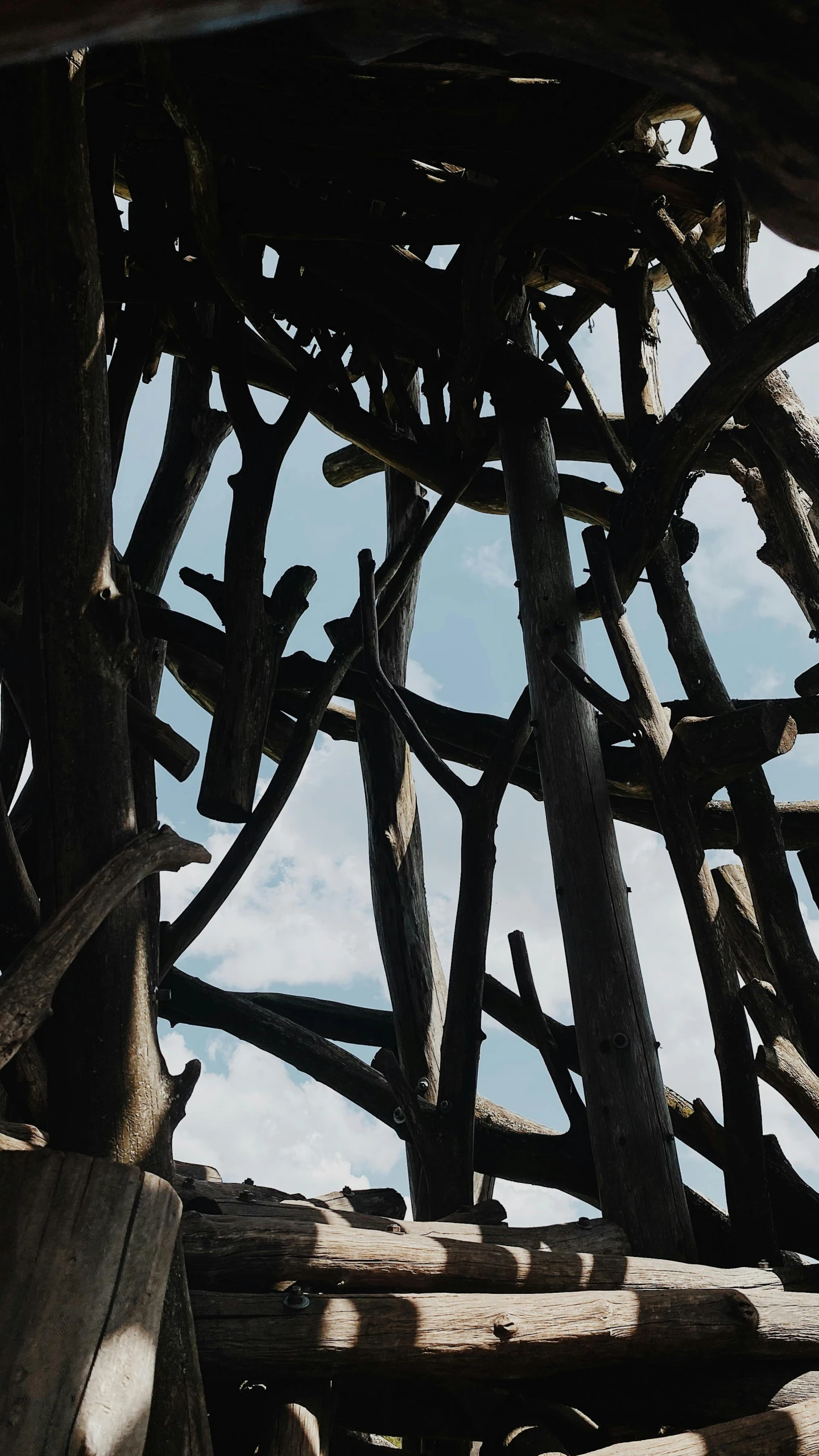 a close up of a wooden structure with a sky in the background, inspired by Patrick Dougherty, unsplash, dark roots, ((trees)), instagram photo, 'untitled 9 '