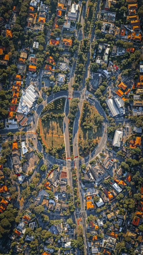 an aerial view of a city surrounded by trees, by Lee Loughridge, unsplash contest winner, ornamental halo, caulfield, streetscapes, an eye