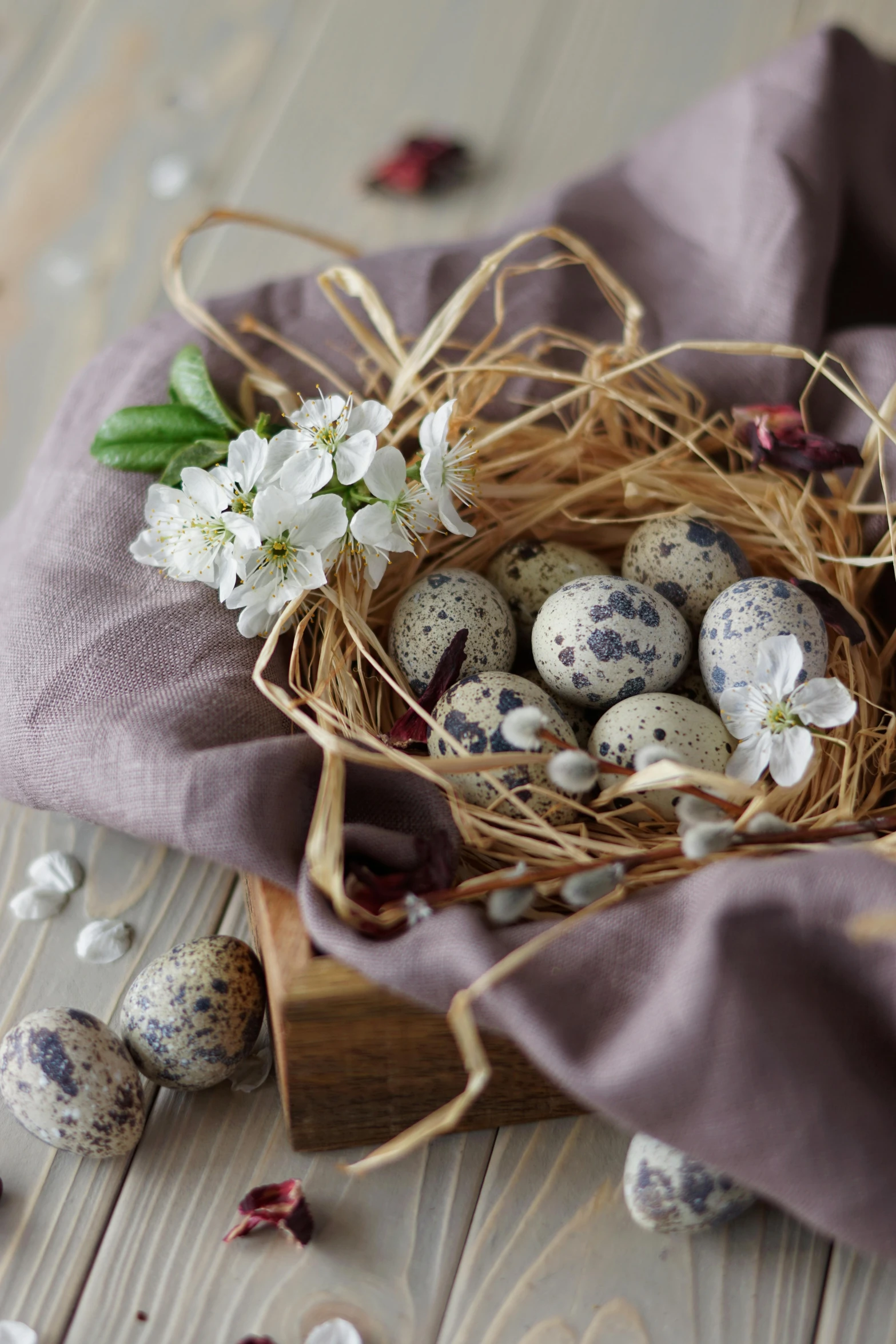 a bird nest sitting on top of a wooden table, by Sylvia Wishart, shutterstock contest winner, edible flowers, linen, eggs, square