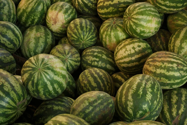 a pile of watermelons sitting on top of each other, uncrop, medium, fan favorite, medium - shot