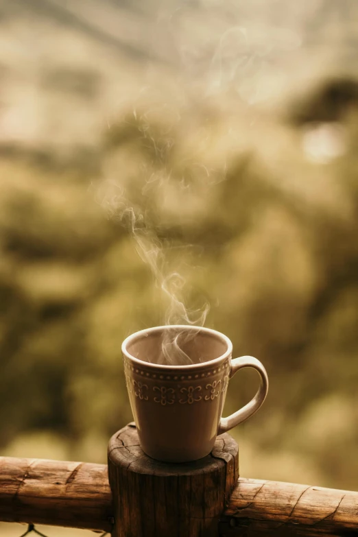 a cup of coffee sitting on top of a wooden table, misting, in front of a forest background, muted brown, cottagecore