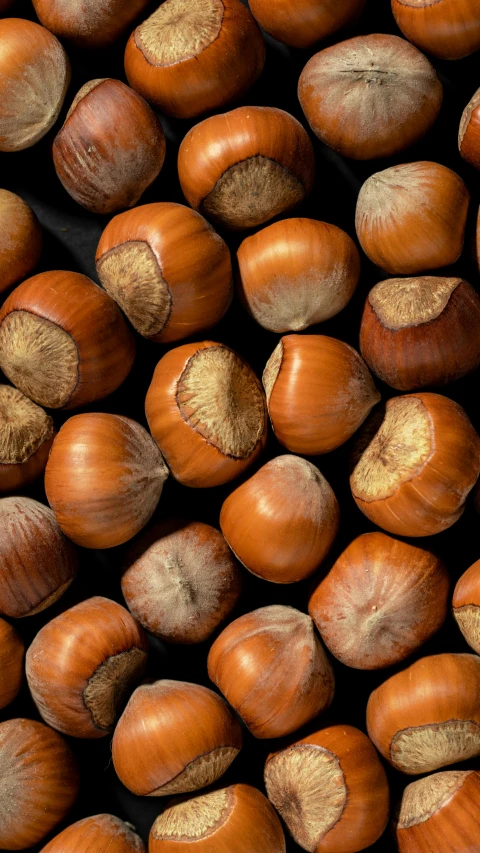 a pile of nuts sitting on top of each other, an album cover, by Yasushi Sugiyama, pexels, maximum natural texture, brown:-2, england, ap