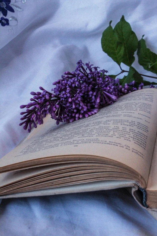 an open book sitting on top of a bed next to a purple flower, lilacs, modeled, ((purple)), poetry