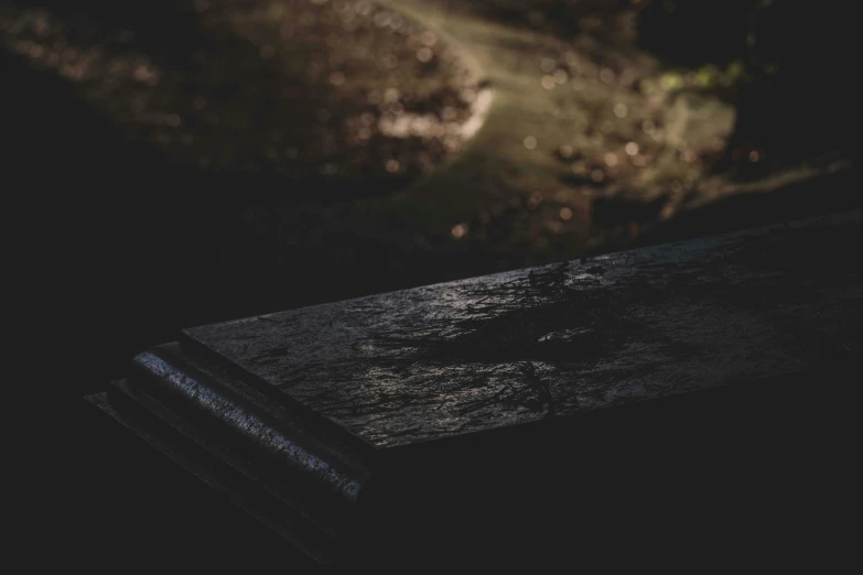 a wooden bench sitting in the middle of a forest, an album cover, unsplash, australian tonalism, carved black marble, rising from a crypt, closeup shot, wet surface