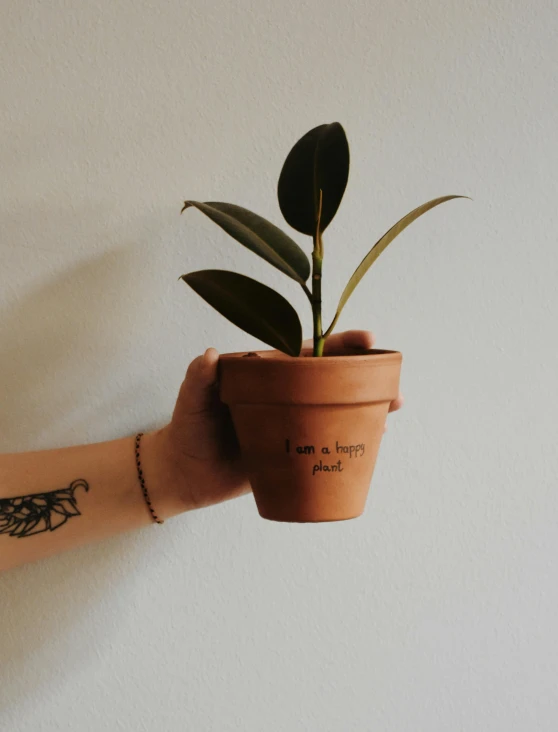 a person holding a pot with a plant in it, a tattoo, inspired by Lucia Peka, unsplash contest winner, happy mood, brown:-2, made of cement, 🎀 🧟 🍓 🧚