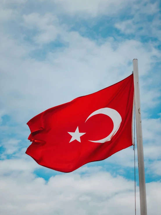 a turkish flag flying high in the sky, an album cover, by Daniel Lieske, pexels contest winner, hurufiyya, thumbnail, background image, stuffed, brown