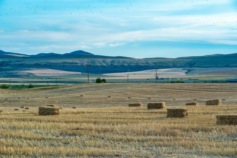 hay bales in a field with mountains in the background, an album cover, unsplash, land art, idaho, urban surroundings, panorama distant view, 2000s photo