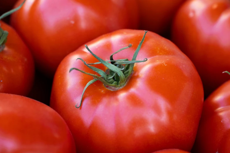 a close up of a bunch of tomatoes, by Tom Bonson, 15081959 21121991 01012000 4k, thumbnail, instagram post, round-cropped