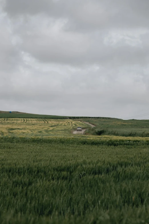 a field of green grass with a dirt road in the distance, by Daarken, overcast gray skies, oganic rippling spirals, on a hill, cinematic shot ar 9:16 -n 6 -g