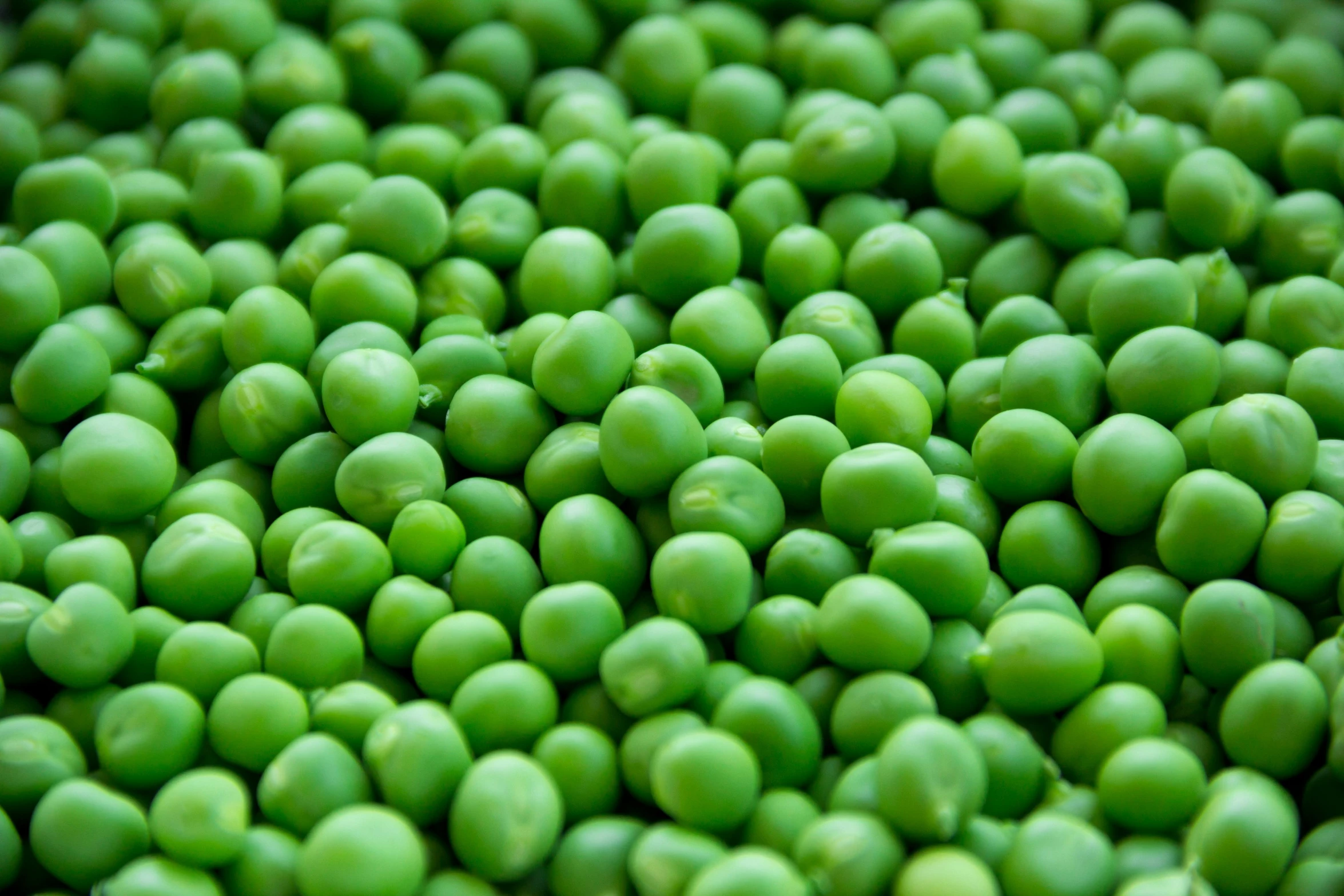 a close up of a pile of green peas, by Dan Luvisi, blender, multi - coloured, round-cropped, trending