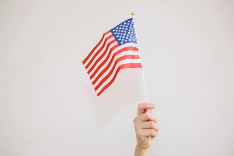 a hand holding an american flag against a white wall, pexels, on a white table, 🚿🗝📝, profile image, spangle