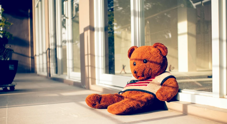 a brown teddy bear sitting in front of a window, a cartoon, by Julia Pishtar, unsplash, harsh sunlight, patriotism, sitting on the ground, schools