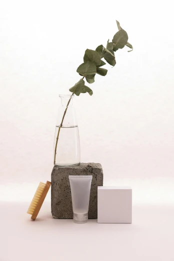a close up of a vase with a plant in it, a still life, unsplash, cosmetics, toothpaste refinery, concrete ), with soft bushes