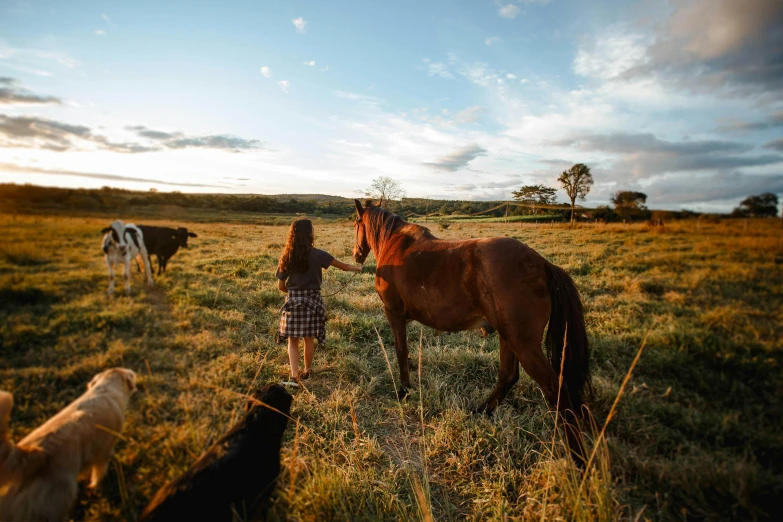 a woman standing next to a horse in a field, by Jessie Algie, unsplash contest winner, sydney park, people and creatures walking, on a farm, summer evening