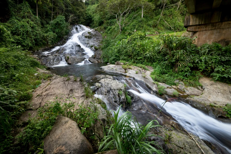 a river running through a lush green forest, sumatraism, avatar image