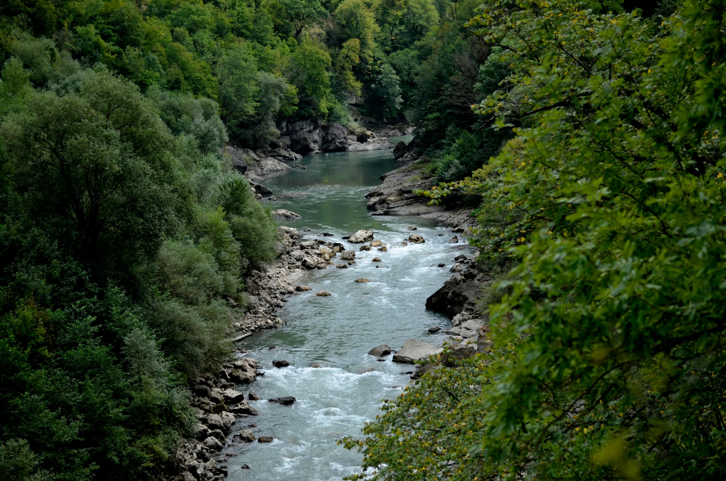 a river running through a lush green forest, by Muggur, pexels contest winner, hurufiyya, bosnian, 2 5 6 x 2 5 6 pixels, documentary still, concert