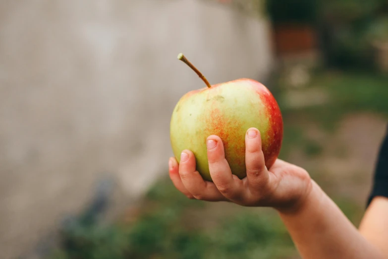 a person holding an apple in their hand, by Emma Andijewska, pexels contest winner, 🐿🍸🍋, kids, background image, serving body