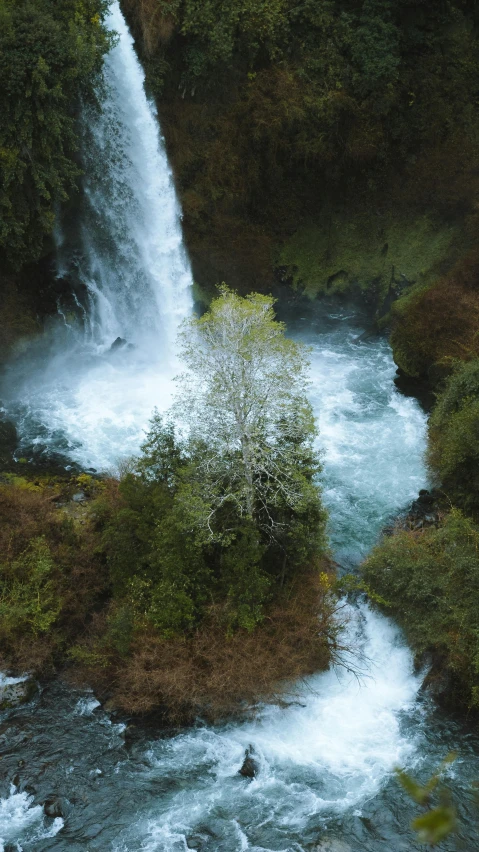 a waterfall in the middle of a lush green forest, an album cover, pexels contest winner, hurufiyya, high view, washington state, 4 k cinematic still, high angle view