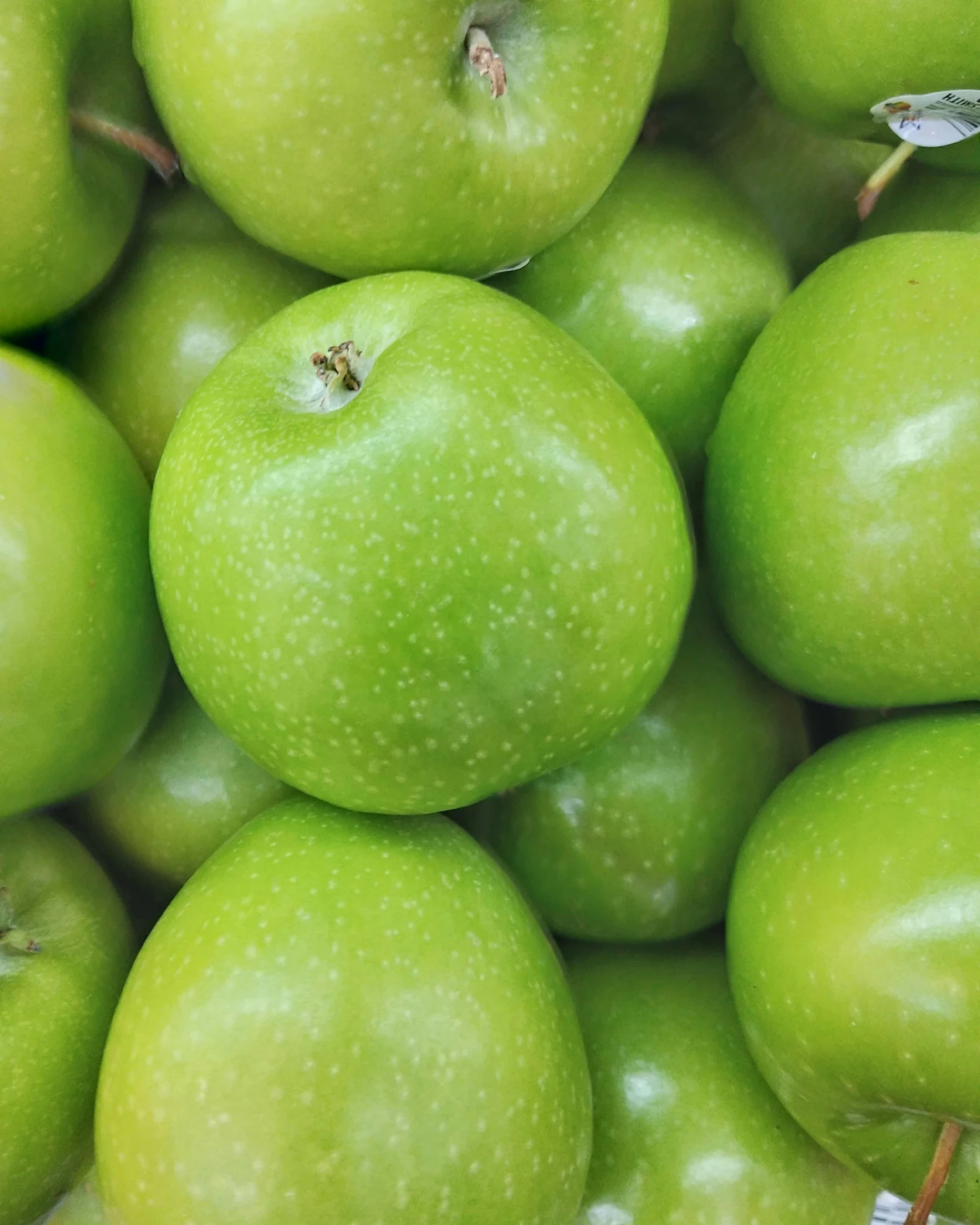 a pile of green apples sitting on top of each other, profile image, thumbnail, listing image, close up photo