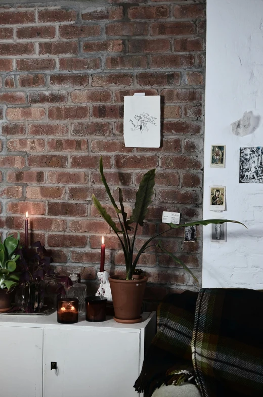 a living room filled with furniture and a brick wall, inspired by Elsa Bleda, featured on pinterest, visual art, botanical herbarium paper, vegetables on table and candle, white background, dark kitchen of an art student