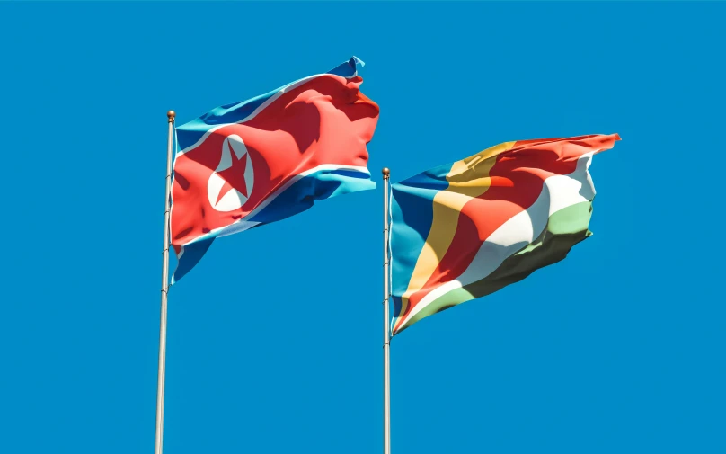two flags flying side by side against a blue sky, neoism, kim jong un, diverse colors, illustration », square