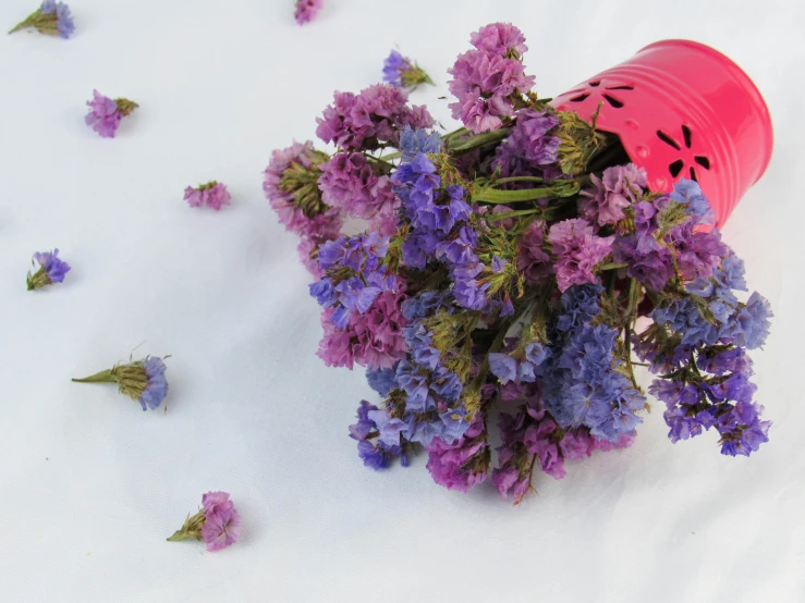 a bunch of purple flowers sitting on top of a white surface, watering can, pink and blue colour, verbena, very crispy