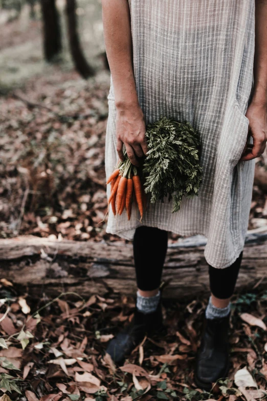 a woman standing in the woods holding a bunch of carrots, by Jessie Algie, pexels contest winner, renaissance, dried herbs, white apron, sydney hanson, petite body