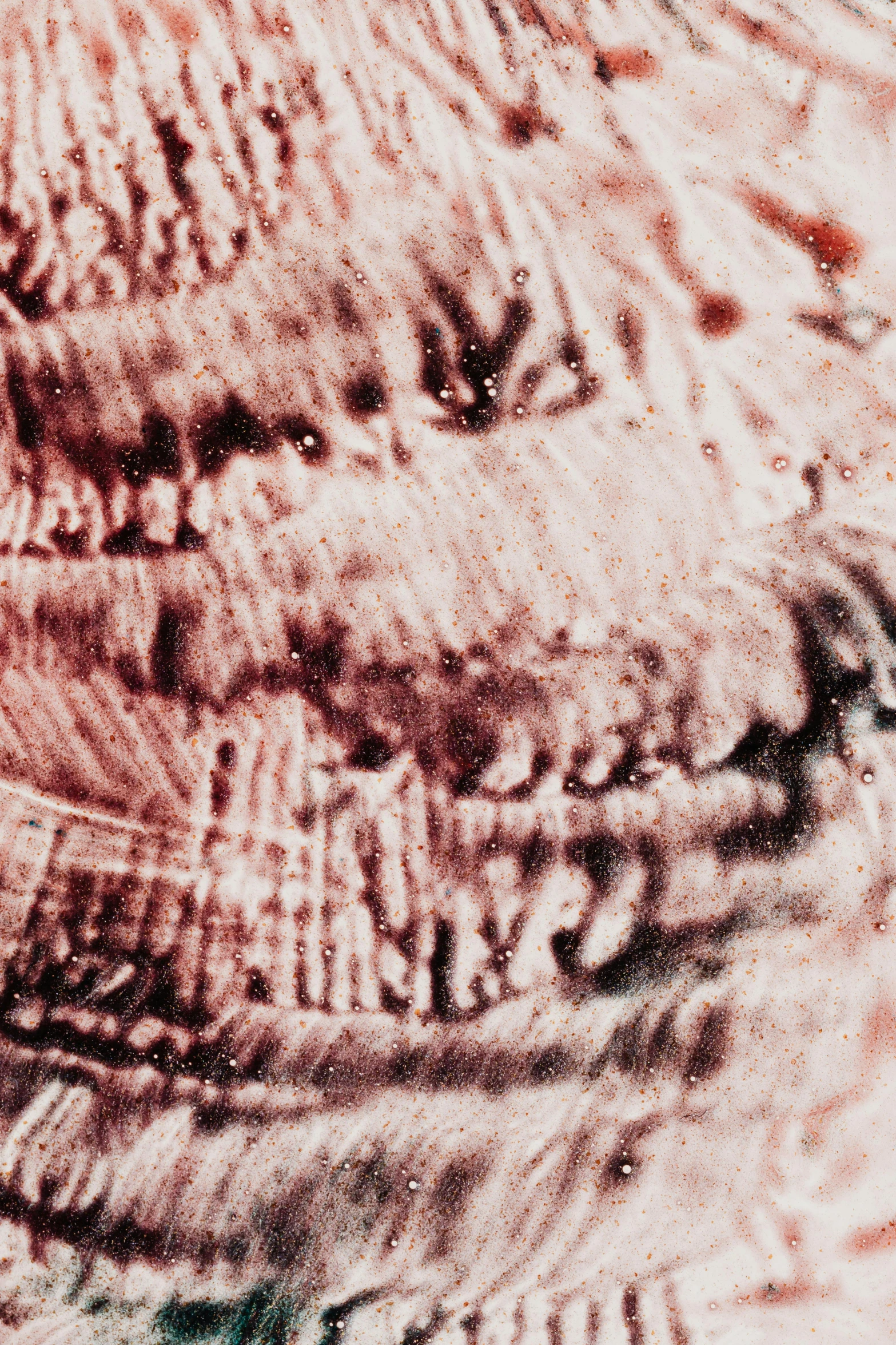 a close up of a painting of a dog's face, a microscopic photo, unsplash, lyrical abstraction, expired burned film from 1930s, soft red texture, gaping gills and baleen, grainy footage