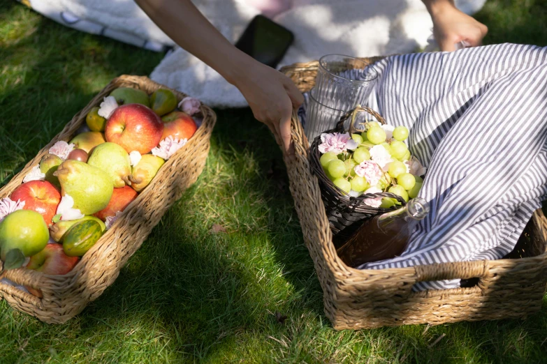 a woman sitting on the grass with two baskets of fruit, unsplash, people on a picnic, rectangle, close up details, feature