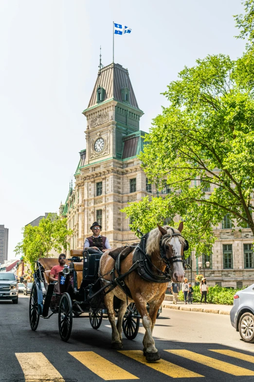 a horse drawn carriage on a city street, winnipeg skyline, baroque winding cobbled streets, lush surroundings, victorian buildings