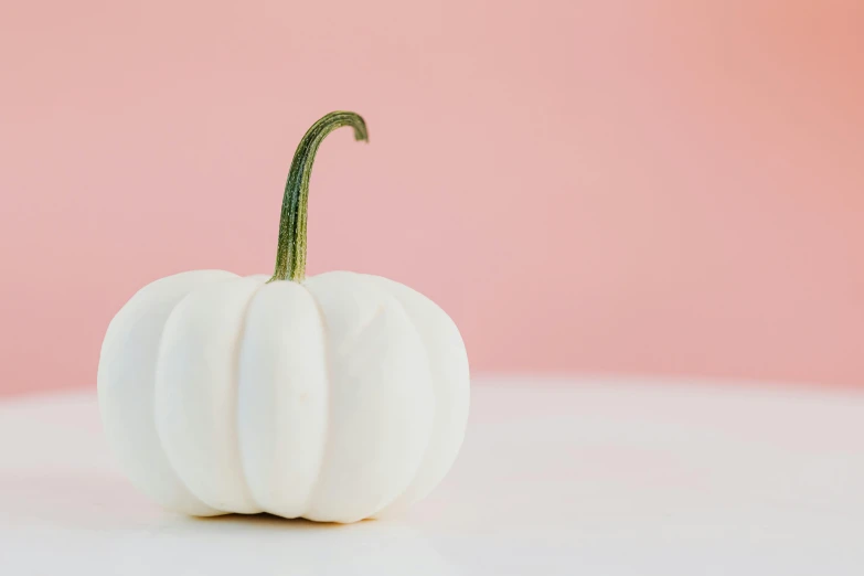 a white pumpkin sitting on top of a table, trending on unsplash, minimalism, white and pink, background image, pointè pose, high resolution