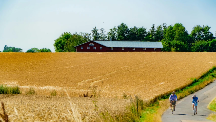 a couple of people riding bikes down a road, by Knud Agger, pexels contest winner, folk art, a barn at an iowan farm, brown stubble, seen from a distance, red building