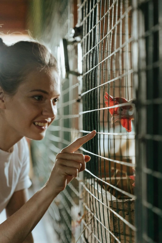 a woman points at a bird in a cage, pexels contest winner, friendly face, inspect in inventory image, aussie, gif