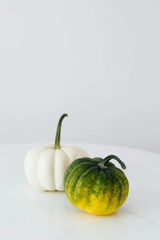 two small white and green pumpkins on a table, a still life, unsplash, set against a white background, slide show, digital image, uncrop