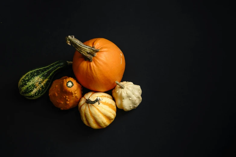 a group of pumpkins and gourds on a black surface, unsplash, background image, fan favorite, square, programming