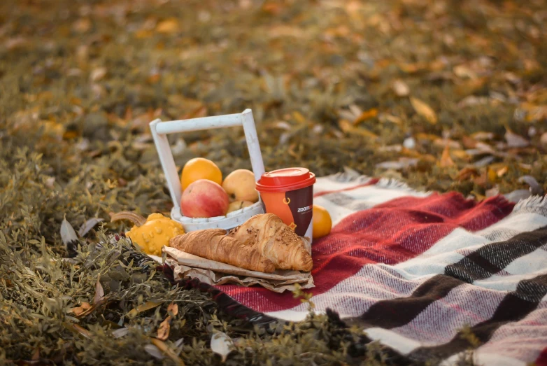 a picnic blanket sitting on top of a grass covered field, unsplash, realism, fruit, autum, portrait image, canon ef 85mm f/1.4l is usm