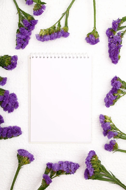 a notepad surrounded by purple flowers on a white surface, an album cover, pexels, ((purple)), 15081959 21121991 01012000 4k